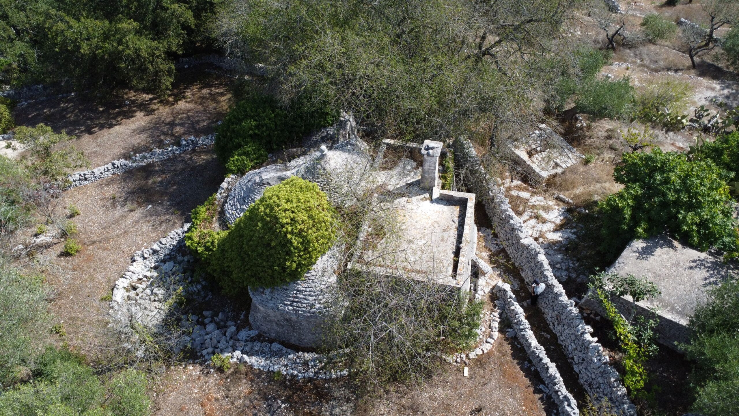 DJI_0351