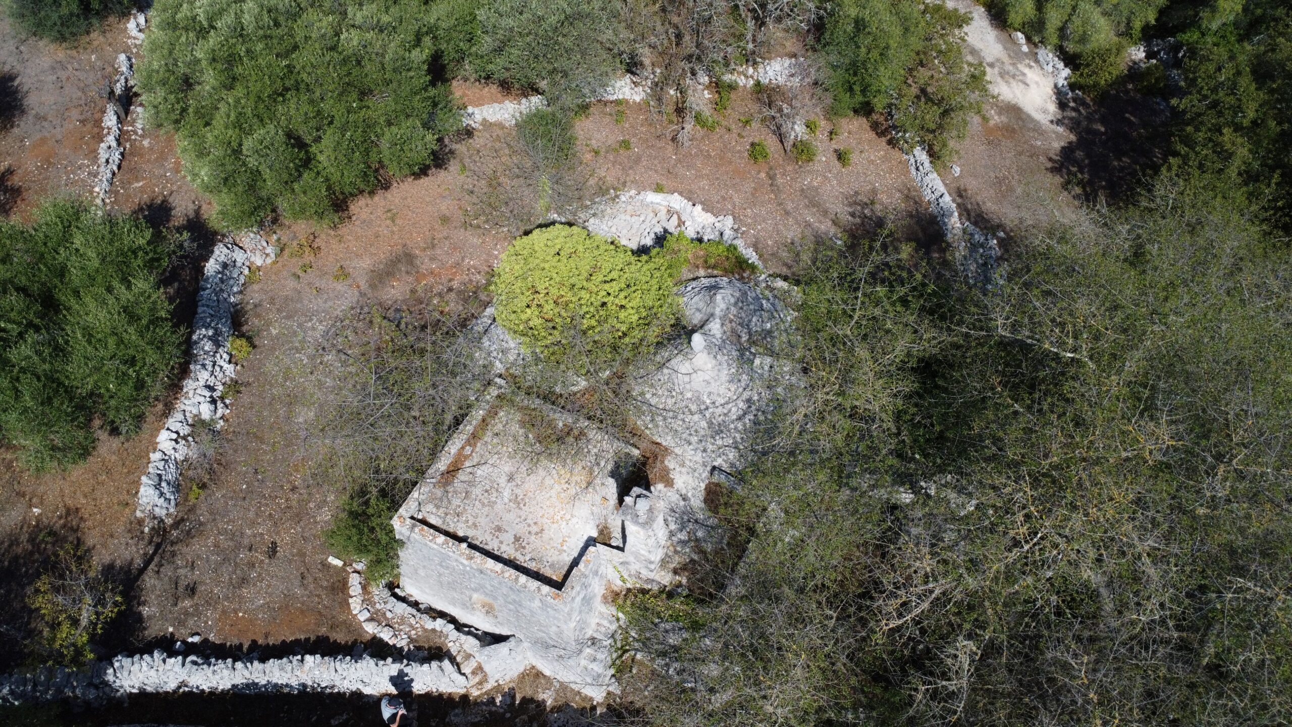 DJI_0352