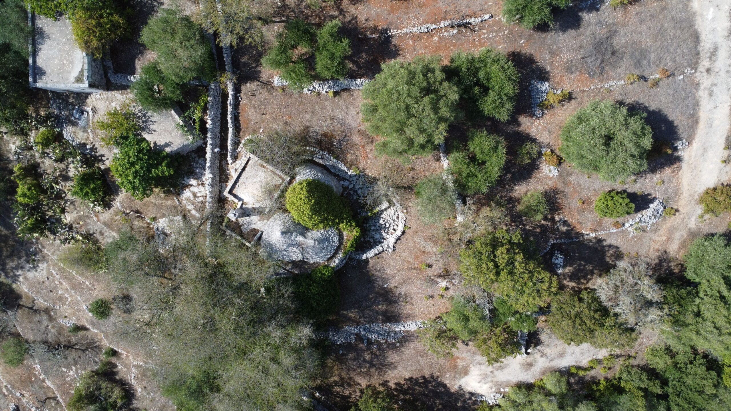 DJI_0353
