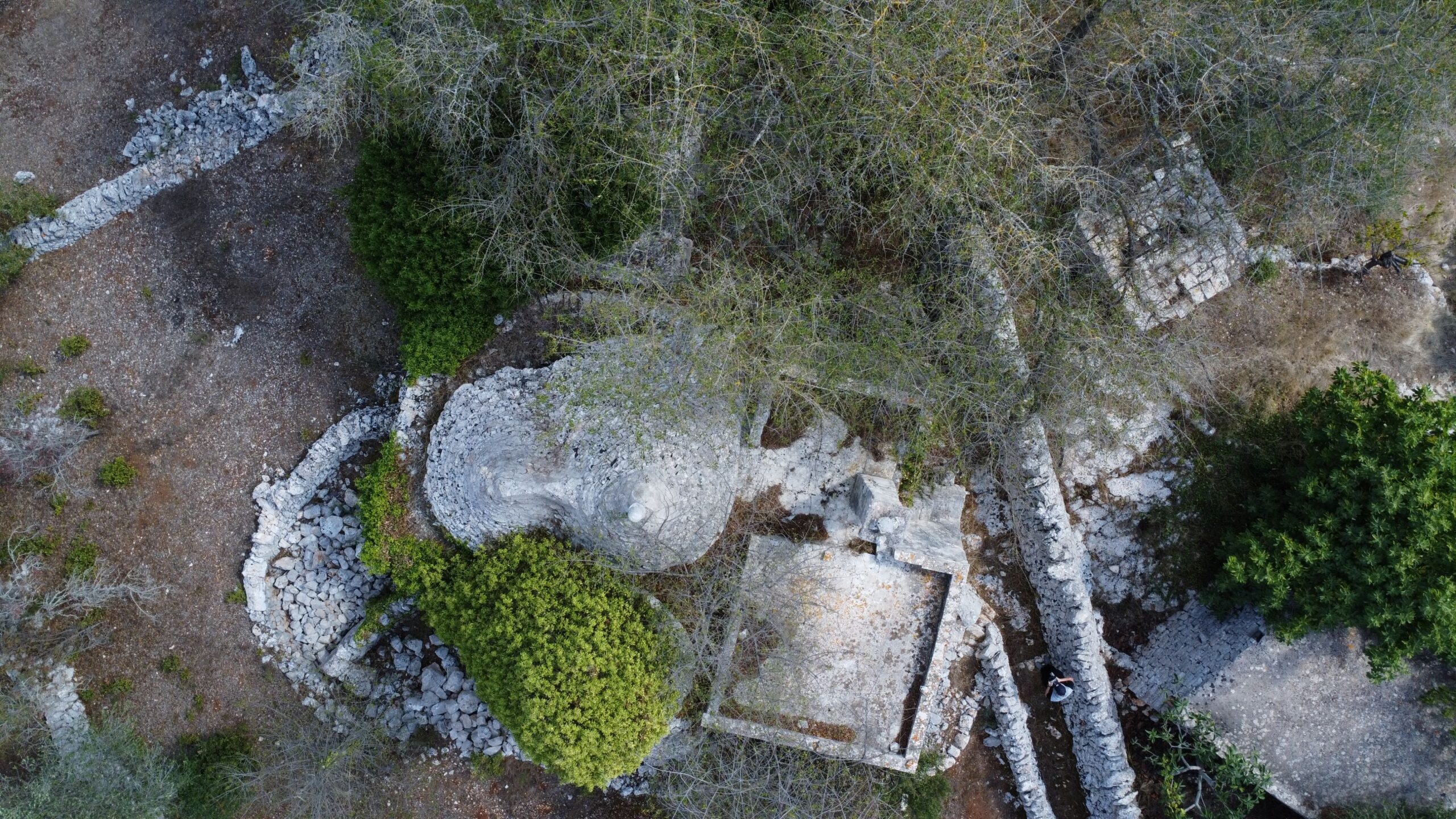 DJI_0355