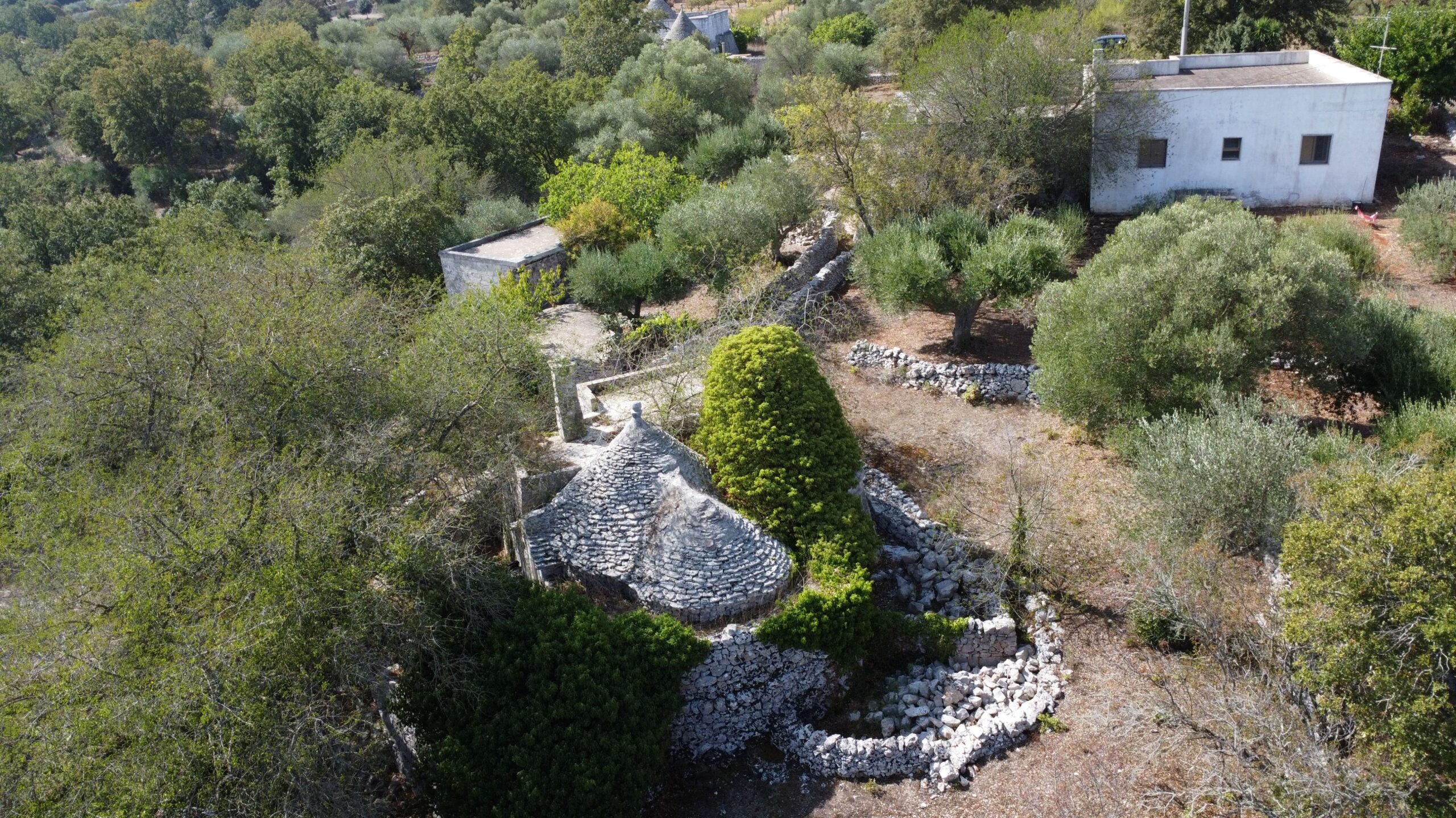 DJI_0357