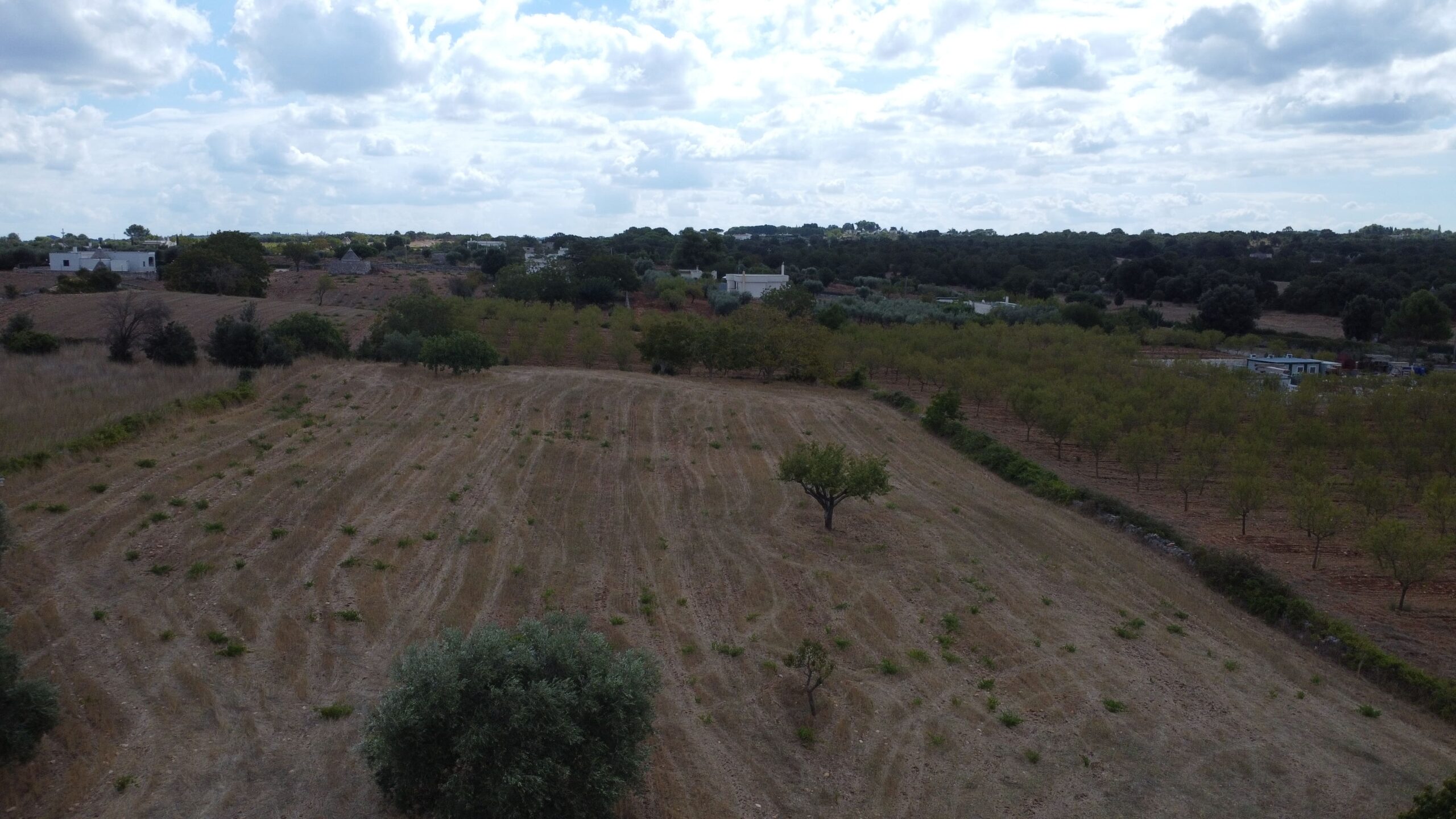 DJI_0898