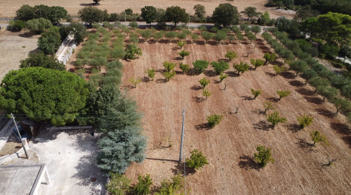 Trullo