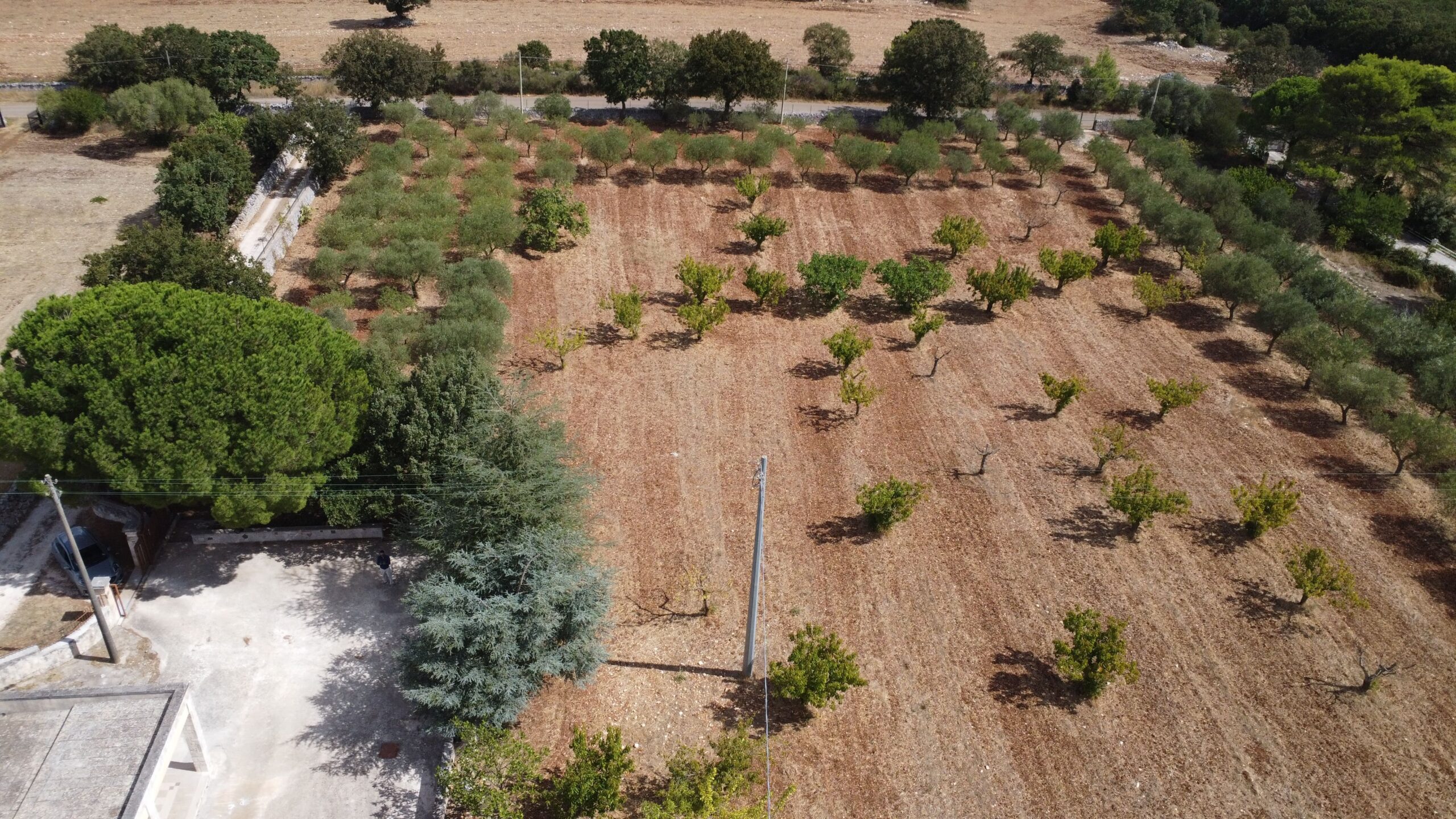 DJI_0912