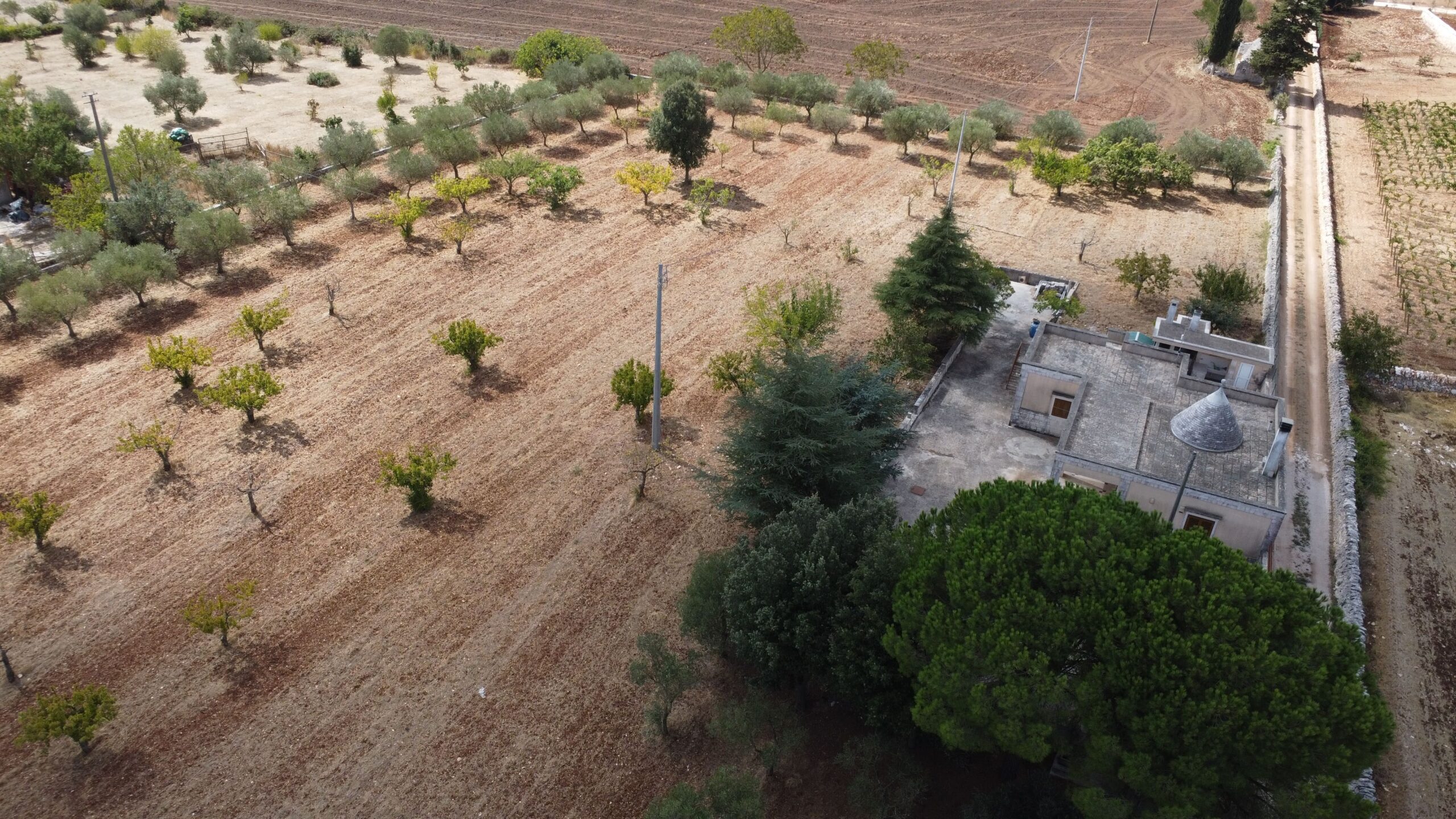 DJI_0917