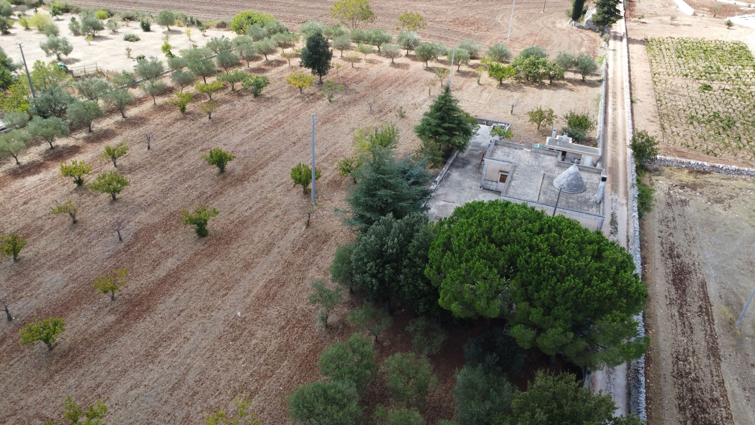 DJI_0918
