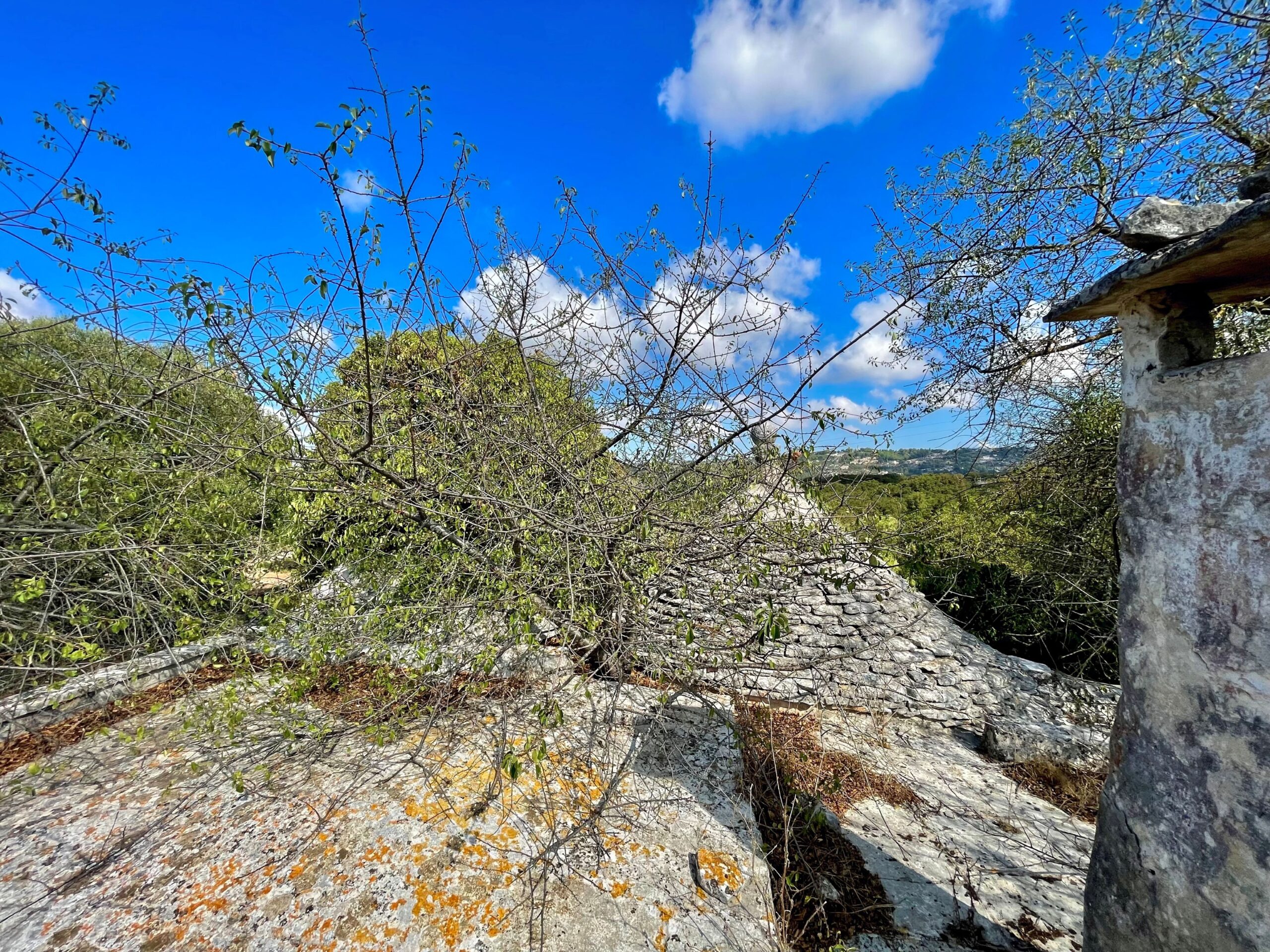 IMG_3601