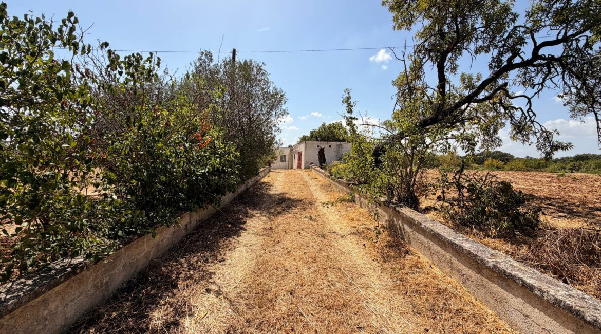 Trullo