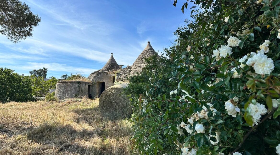 Trullo