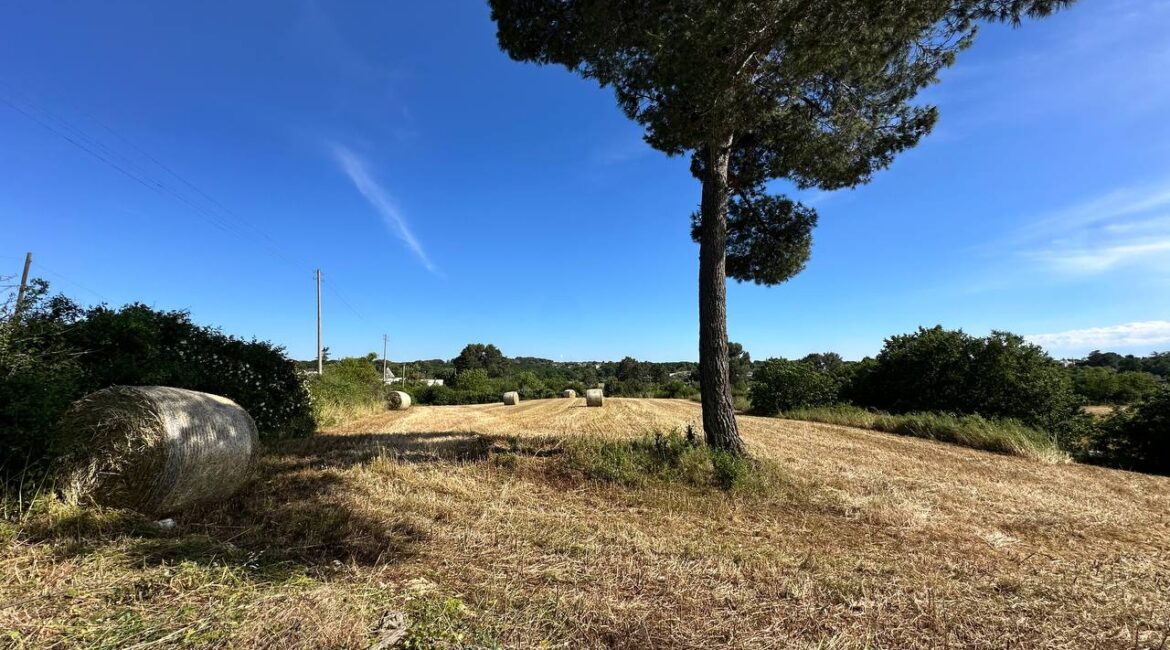 Trullo