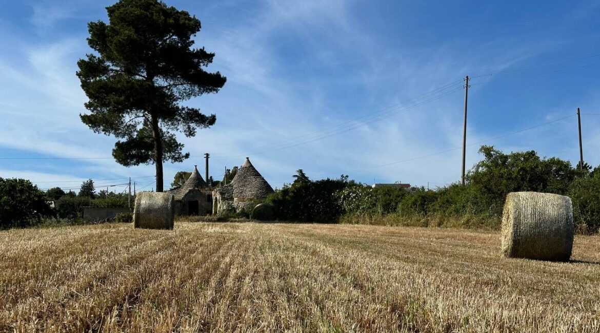 Trullo