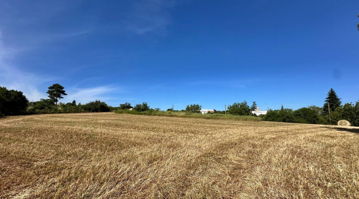 Trullo