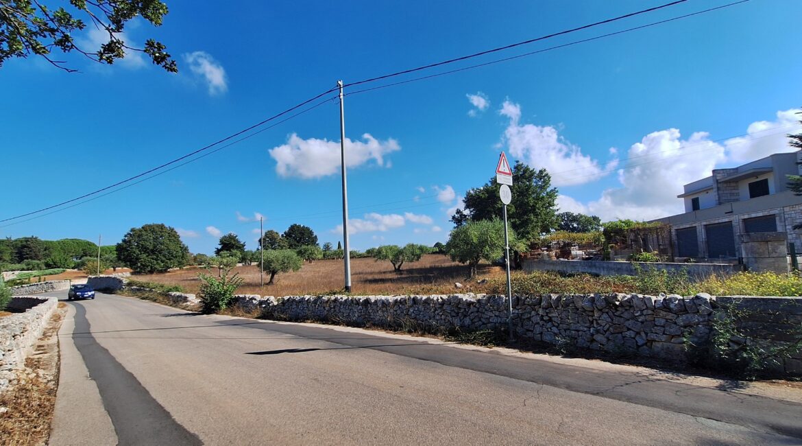 Terreno