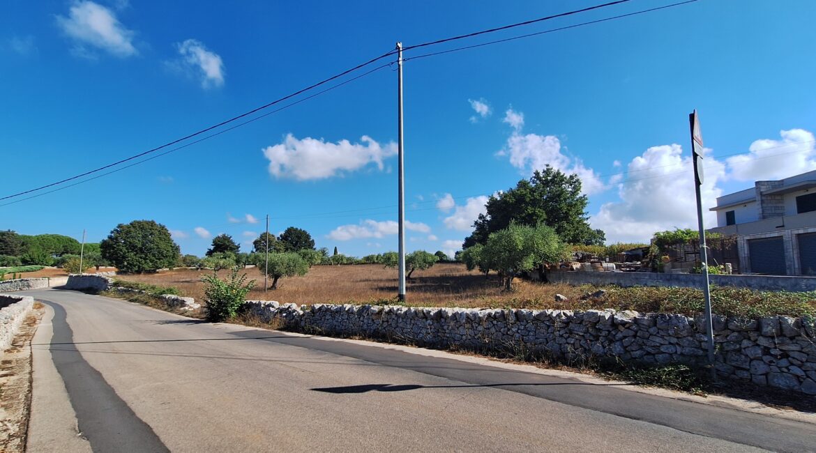 Terreno
