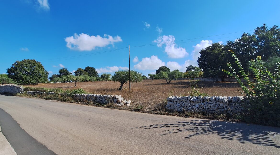 Terreno