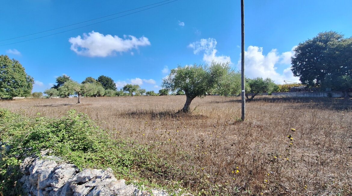Terreno