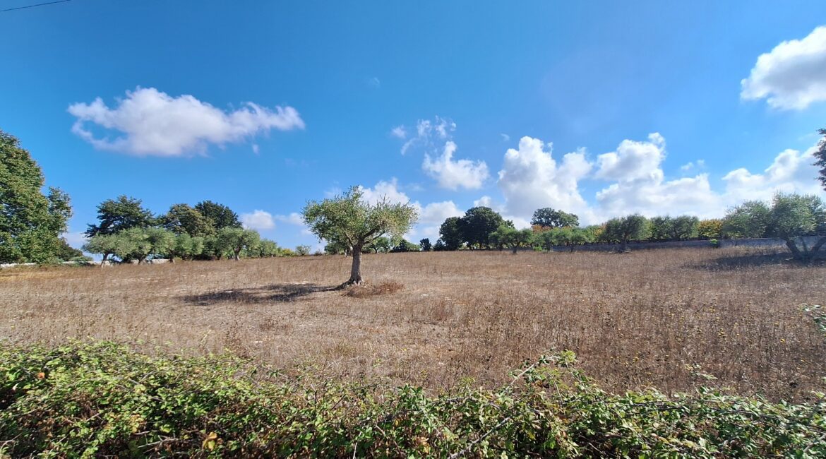 Terreno