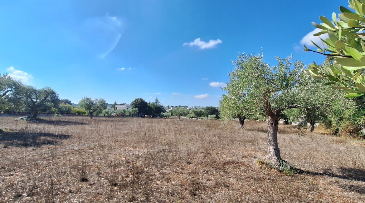 Terreno