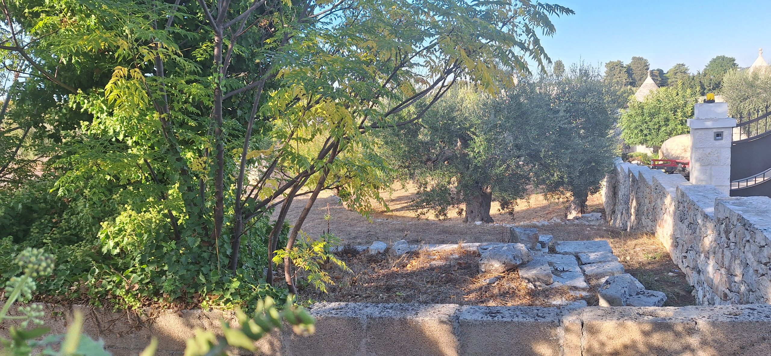 20261002_164638