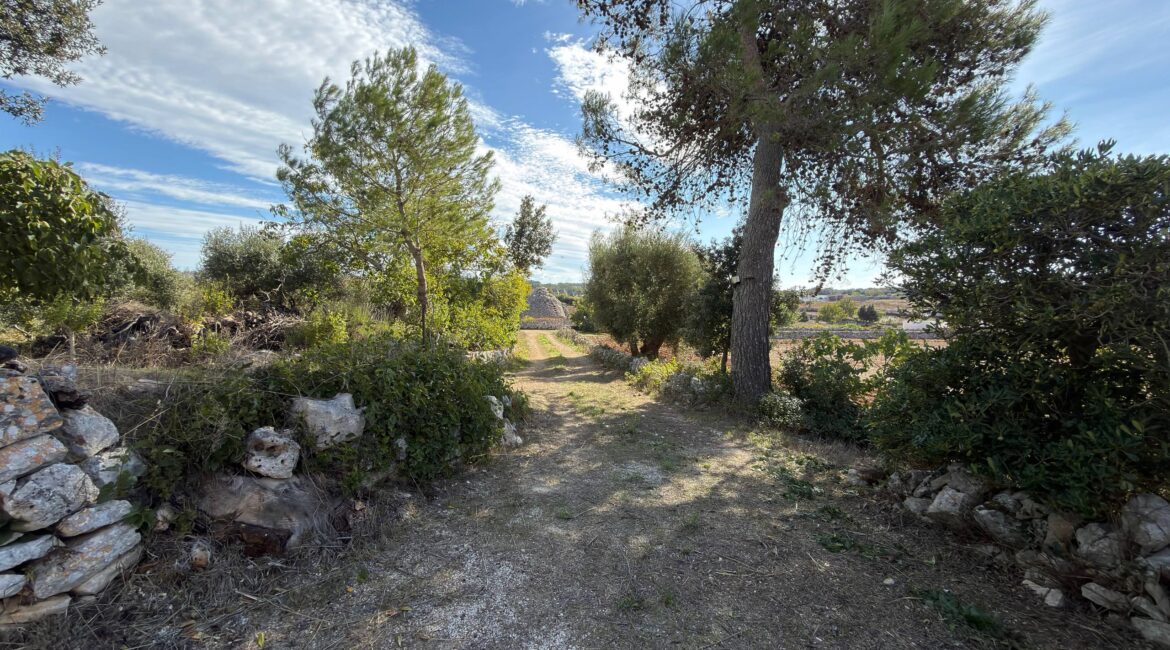 Trullo