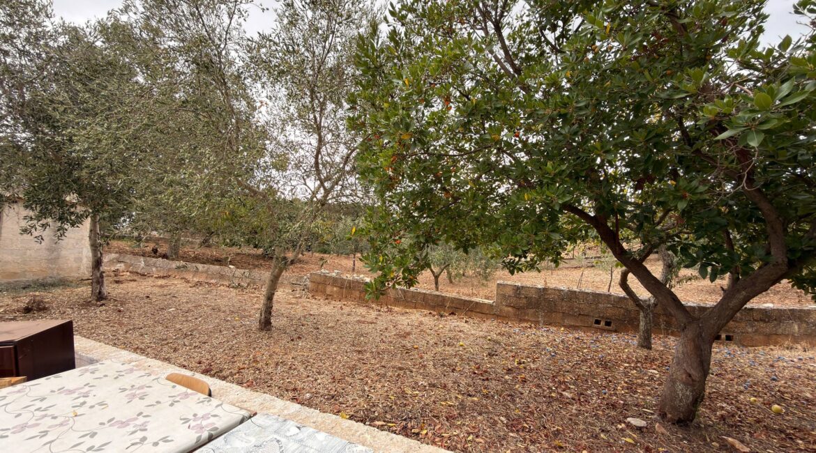 Villino con Terreno