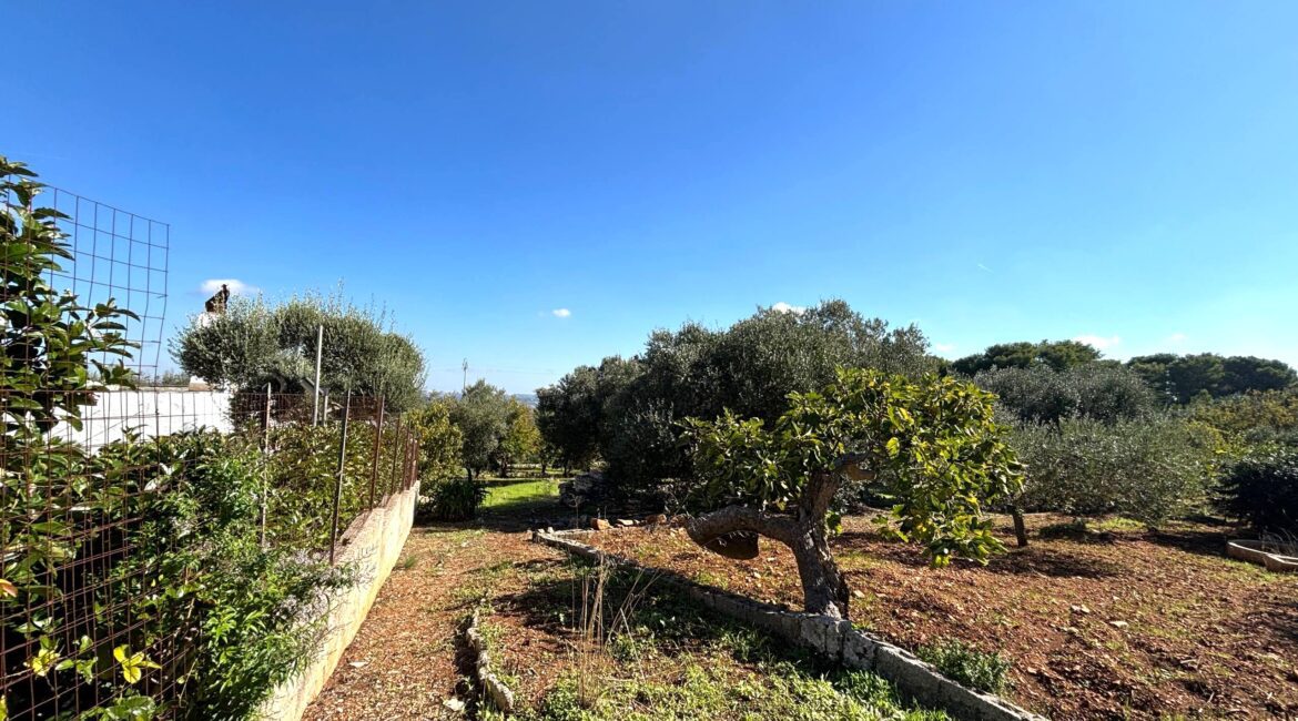 Trullo
