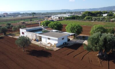 DJI_0382