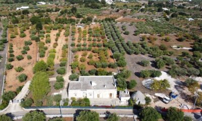 DJI_0401