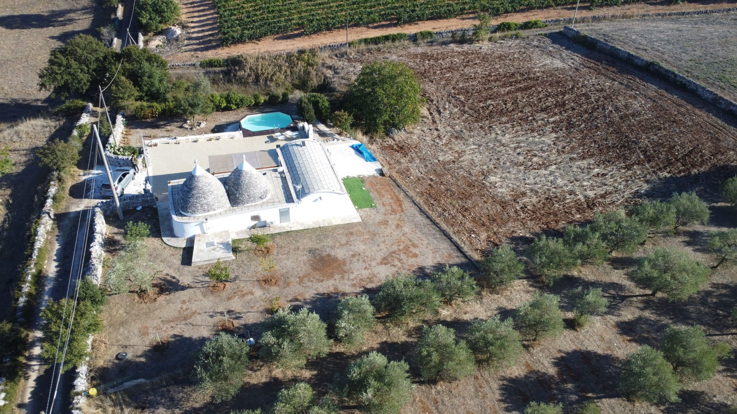 DJI_0965