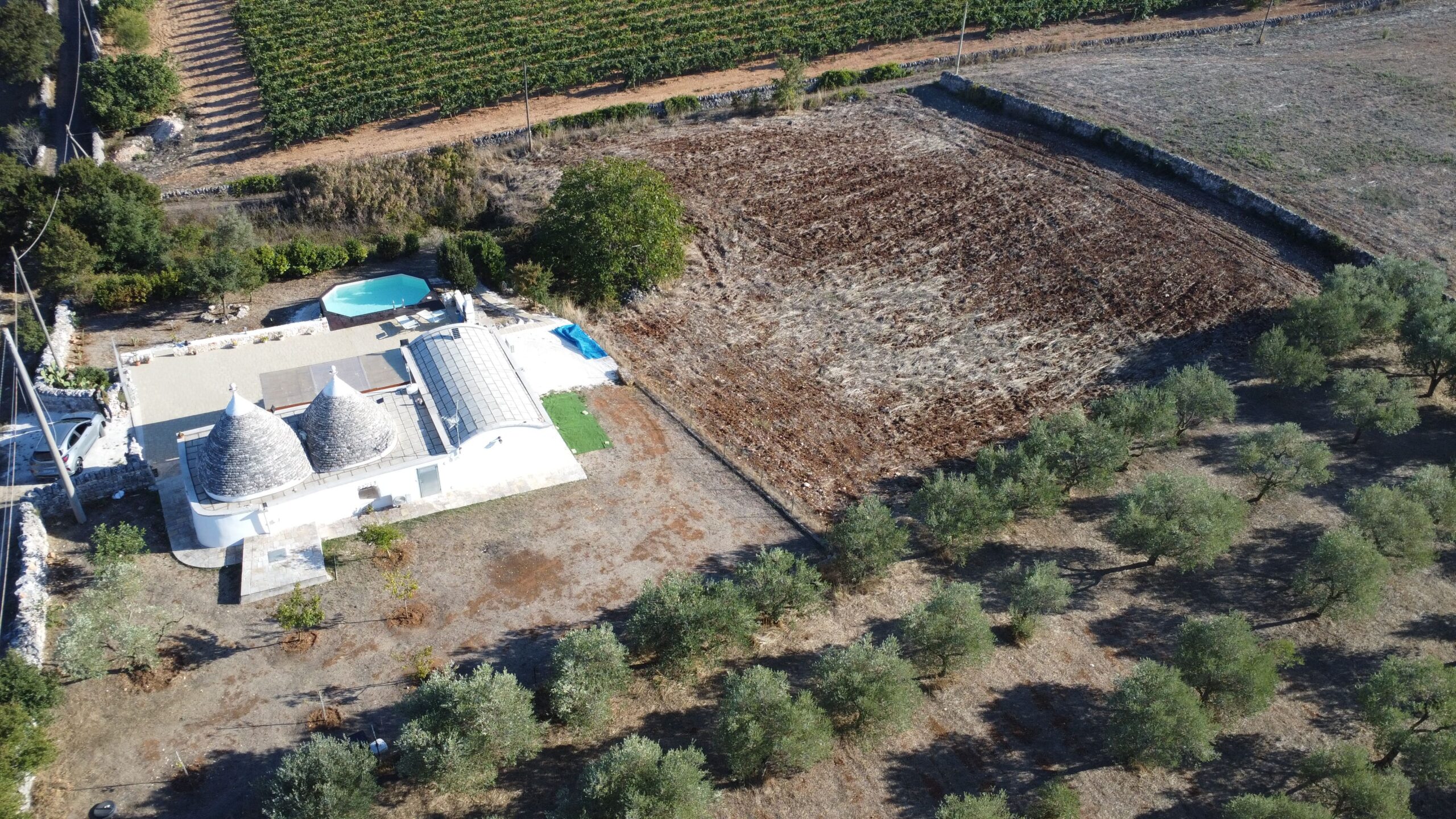 DJI_0966