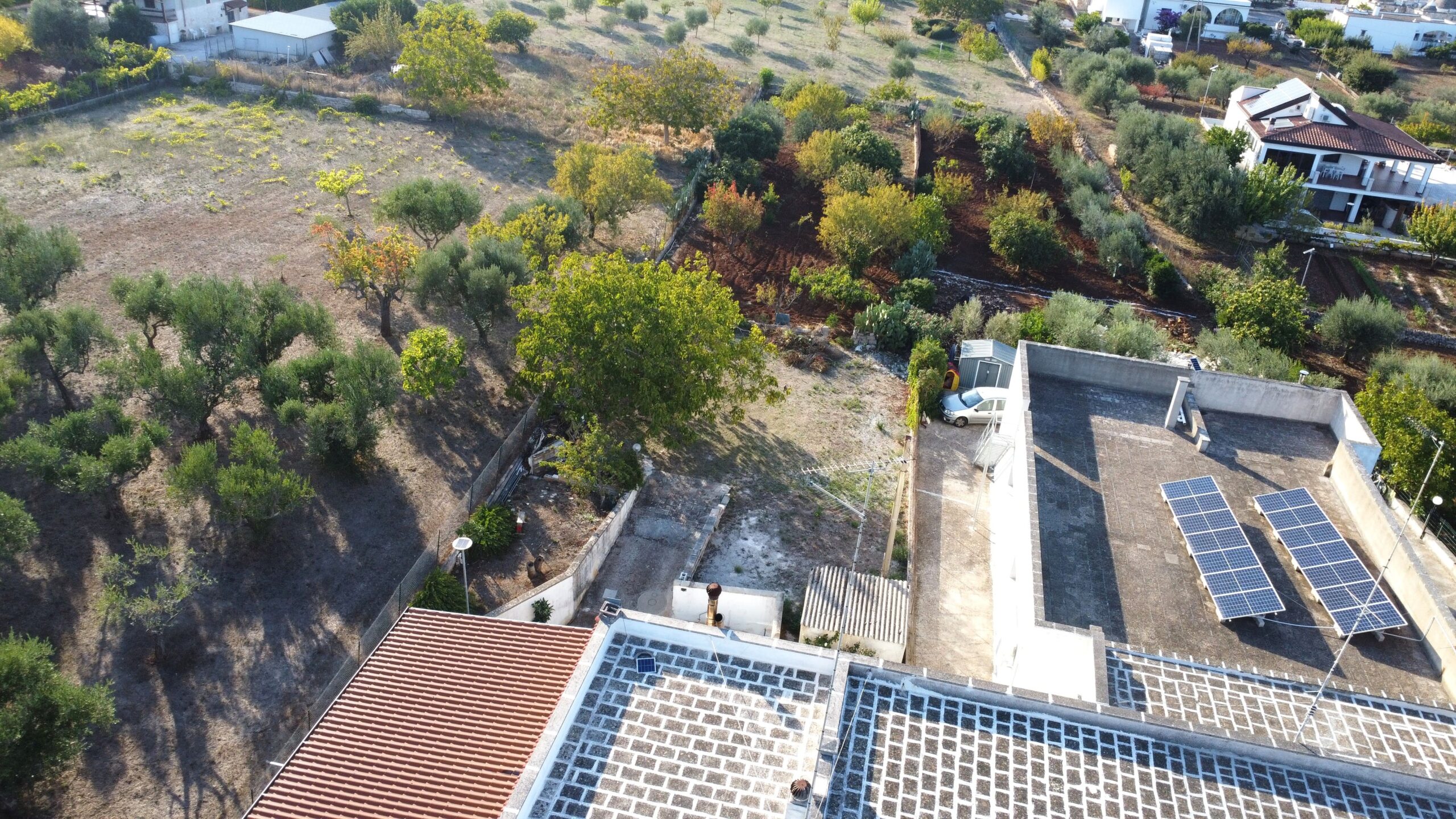 DJI_0976