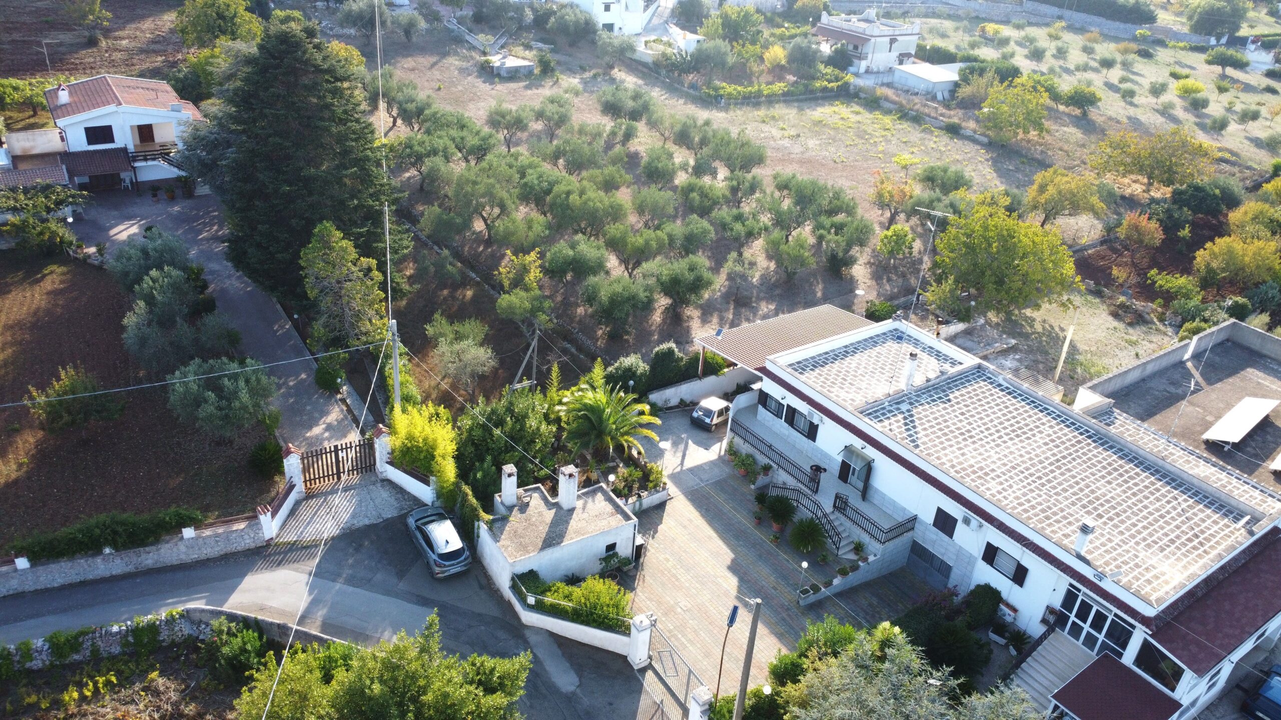 DJI_0977