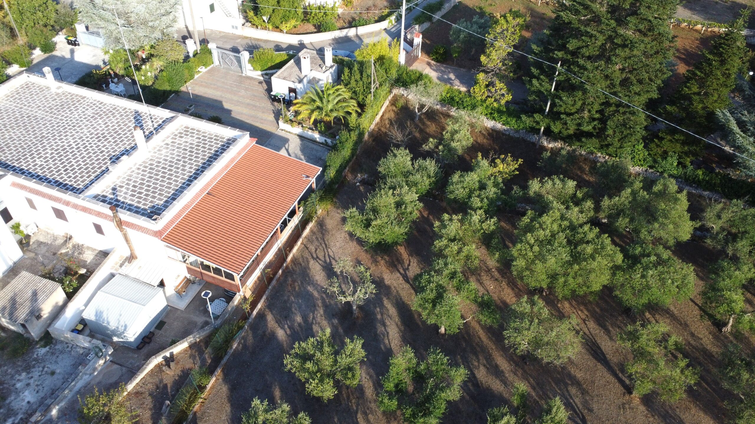 DJI_0978