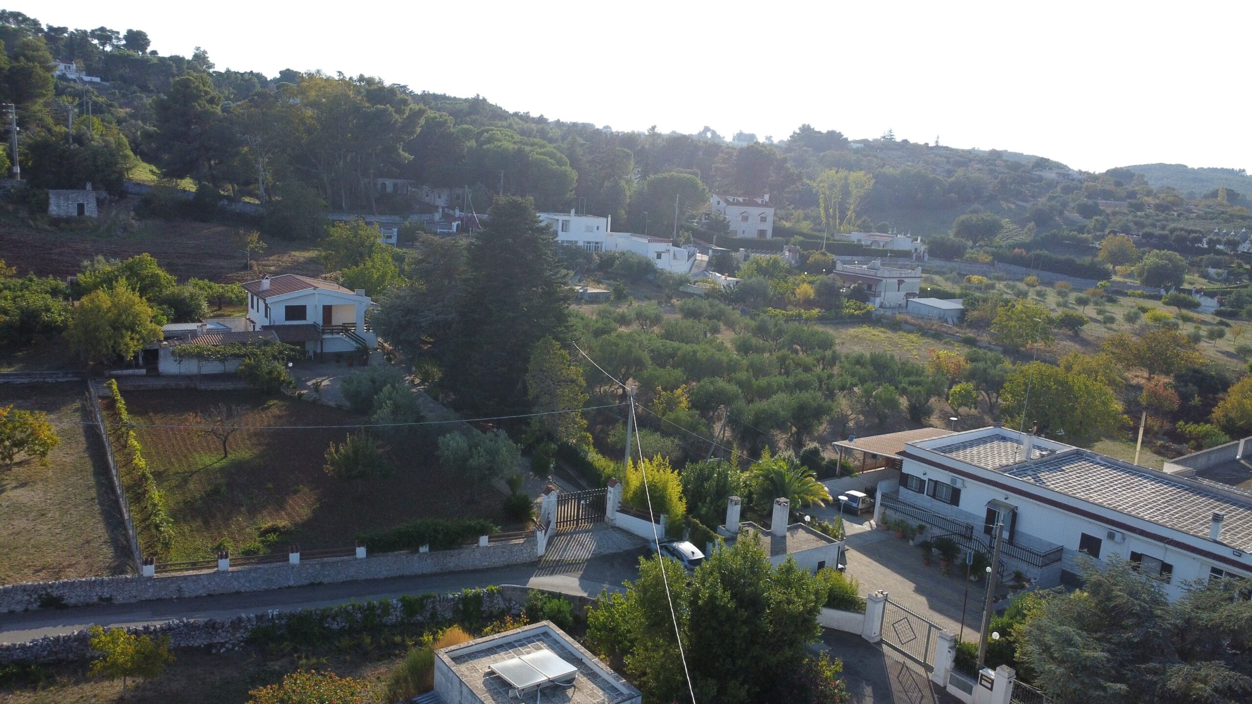 DJI_0981